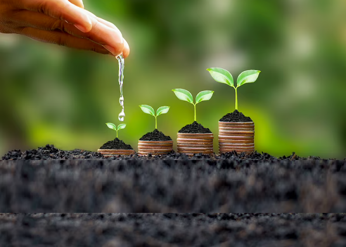 Personal Development Consulting Services